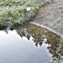 689-hortonpondramps.jpg