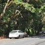 coyotecreeklaunch-01.jpg