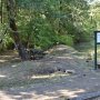 coyotecreeklaunch-02.jpg