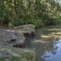 coyotecreeklaunch-03.jpg